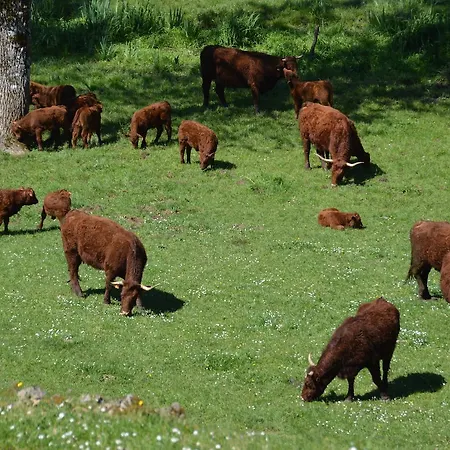 Hotel-restaurant Le Rouffillac