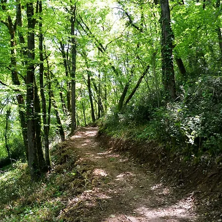 Hotel-restaurant Le Rouffillac Carlux