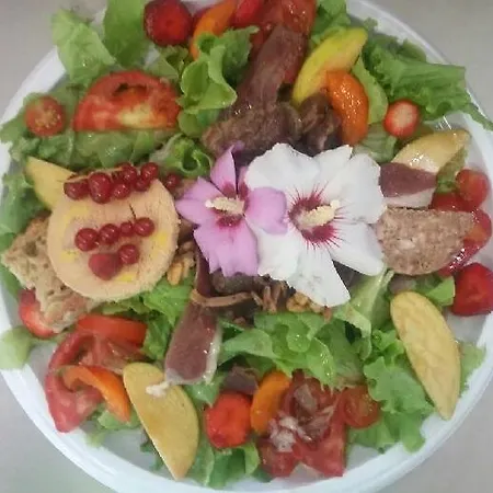 Hotel Hotel-restaurant Le Rouffillac