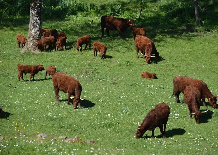 Hotel-restaurant Le Rouffillac