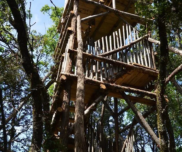 Hotel Hotel-restaurant Le Rouffillac Carlux