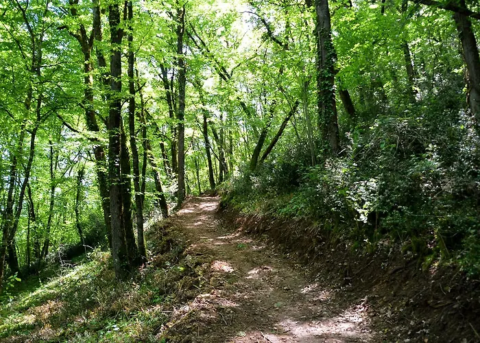 Hotel-restaurant Le Rouffillac Carlux