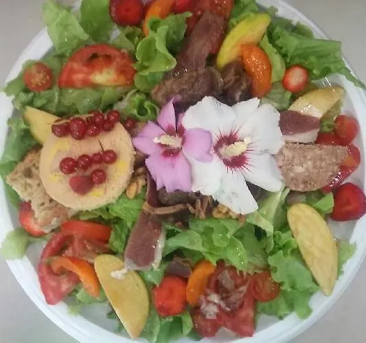 Hotel Hotel-restaurant Le Rouffillac